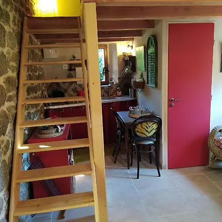 Les Mimosas Du Mas בית אירוח סן-ז'אן-דו-גאר