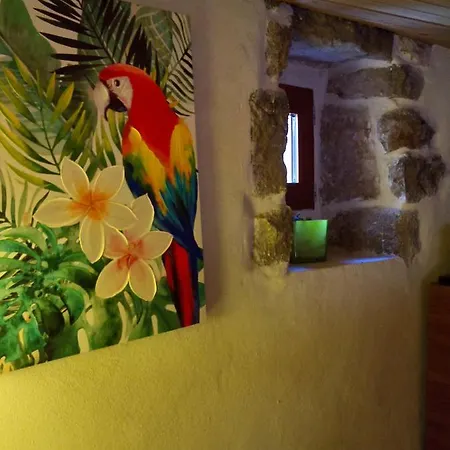 Privat bolig Les Mimosas Du Mas *