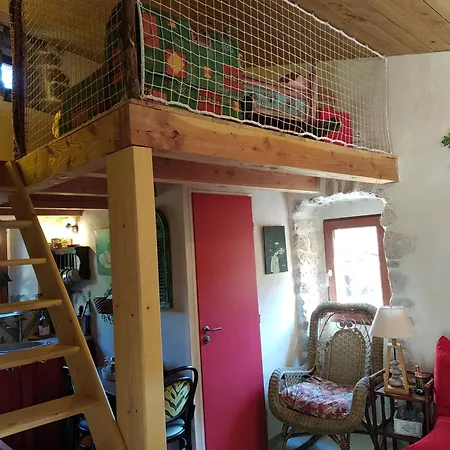 Les Mimosas Du Mas