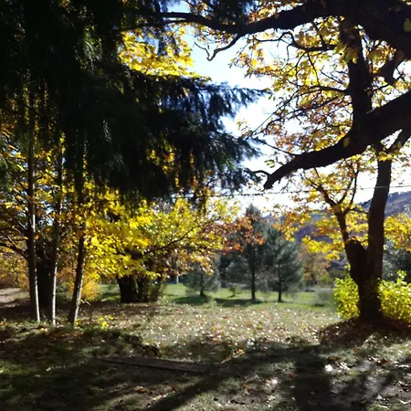 Homestay szállás Les Mimosas Du Mas *