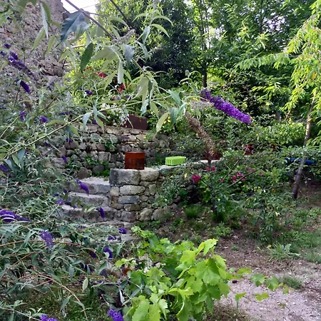 Les Mimosas Du Mas Homestay szállás