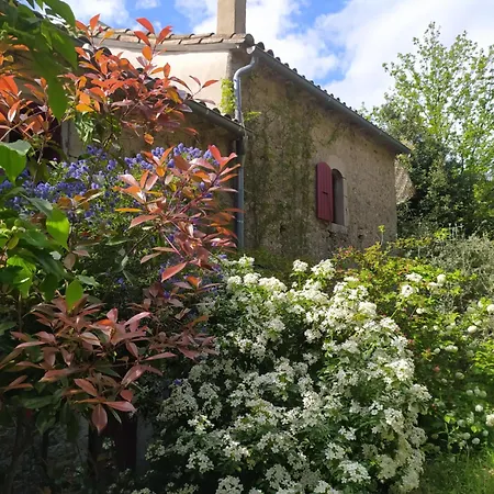 Les Mimosas Du Mas *