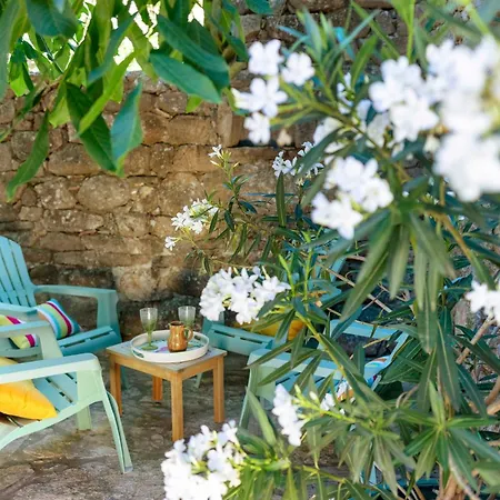 Les Mimosas Du Mas